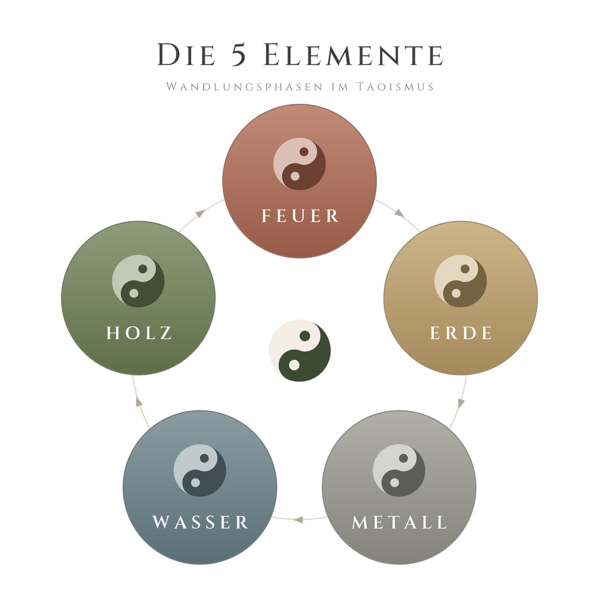 Die fünf Elemente Holz, Feuer, Erde, Metall und Wasser im Nährungszyklus